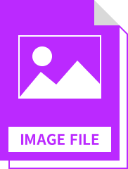IMAGE FILE